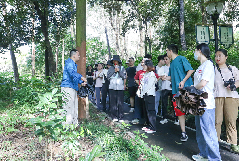 “一(yī)起向自(zì)然”植物(wù)戶外(wài)培訓 | 【茏騰學院】2023年(nián)第6期 “一(yī)起向自(zì)然”植物(wù)戶外(wài)培訓 | 【茏騰學院】2023年(nián)第6期
