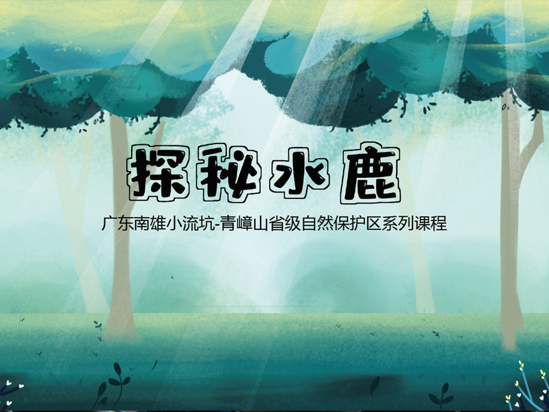 廣東(dōng)南(nán)雄小(xiǎo)流坑-青嶂山(shān)省級自(zì)然保護區(qū)系列課程 廣東(dōng)南(nán)雄小(xiǎo)流坑-青嶂山(shān)省級自(zì)然保護區(qū)系列課程